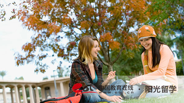 北京外国语大学IEP项目中外合作国际本科费用多少钱一年