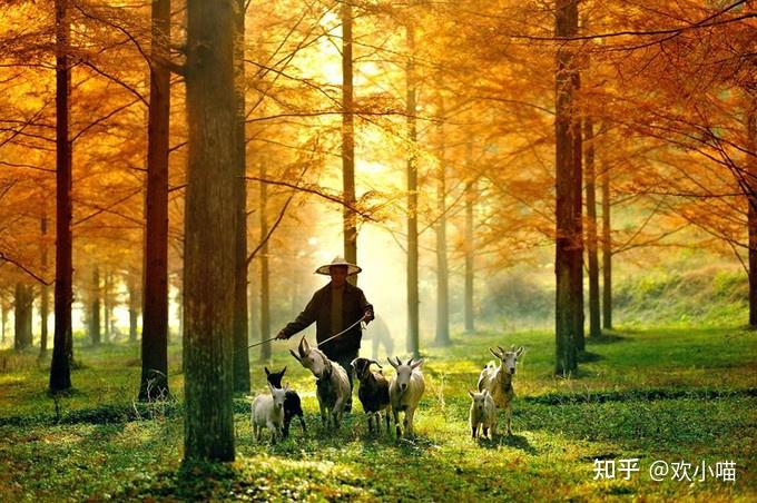 恩施旅游攻略_恩施外教英语口语一对一陪练价格多少钱_恩施秘境美景