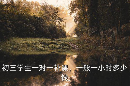 初三学生一对一补课，一般一小时多少钱