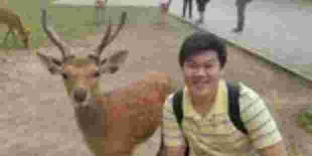 外教一对一收费标准多少钱_雅思口语一对一费用多少_雅思培训课程费用标准